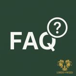 FAQ Link mit LOW Logo FAQ Link